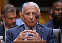 David Morens, exasesor de Fauci, se declara culpable por conspiración para evadir solicitudes de información sobre COVID-19