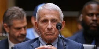 David Morens, exasesor de Fauci, se declara culpable por conspiración para evadir solicitudes de información sobre COVID-19